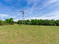 Wild Hair Ranch 19.5 Acres : Brooksville : Hernando County : Florida