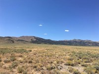 Prime Nevada Desert Land : Yerington : Lyon County : Nevada