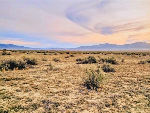 Expansive Vacant Lot : Montello : Elko County : Nevada