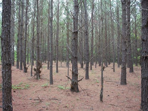 Homesite With Dirt Rd. Frontage : Cadwell : Laurens County : Georgia