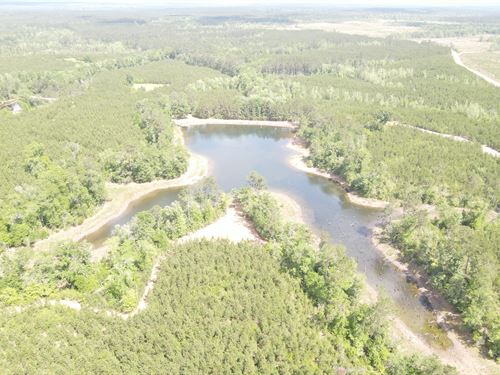 Two Lakes Tract, 205 Acres : Leakesville : Greene County : Mississippi