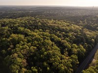 Dogwood Hills Farm : Karnack : Harrison County : Texas