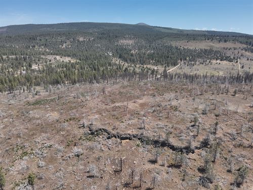 16.42 Acres in Klamath Falls Forest : Klamath Falls : Klamath County : Oregon