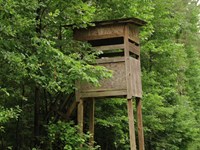 Lowenkamp Timber Haven : Hazlehurst : Copiah County : Mississippi