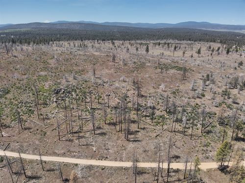 15.01 Acres in Klamath Falls Forest : Klamath Falls : Klamath County : Oregon