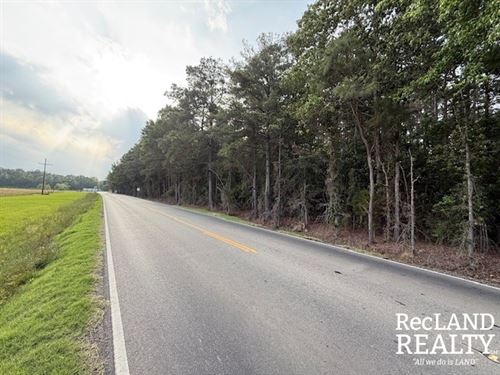 29 ac, Timberland for Developement : Bastrop : Morehouse Parish : Louisiana