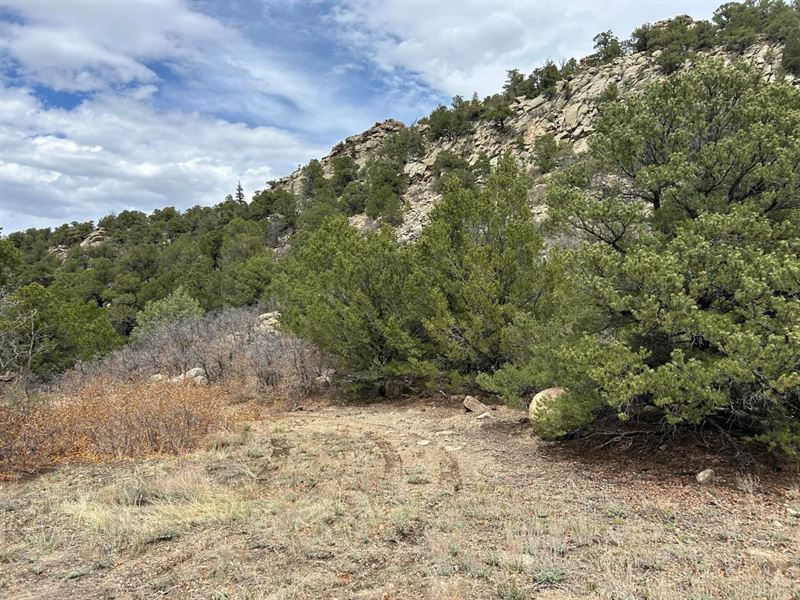 Pass Creek Rd, Gardner, CO 8104 : La Veta : Huerfano County : Colorado
