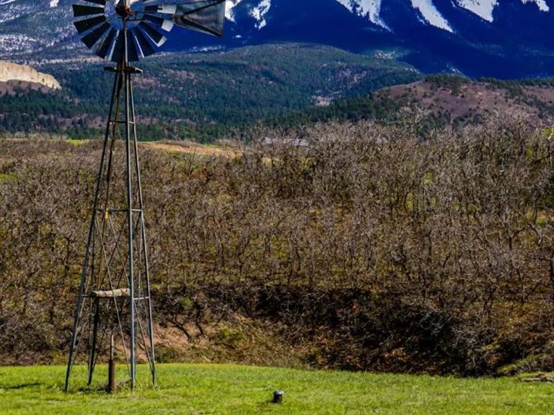 Rilling Canyon, Laveta, CO 8105 : La Veta : Huerfano County : Colorado