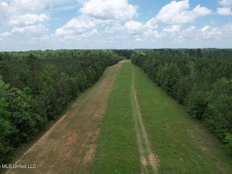 56 Acres in St Helena Parish : Greensburg : Saint Helena Parish : Louisiana