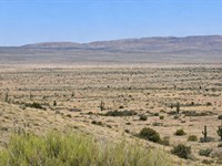 Remote Desert Investment Land : Saint Johns : Apache County : Arizona