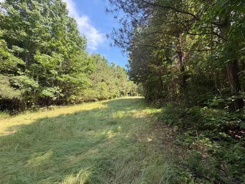 59 Acre Benevola Recreational Tr : Gordo : Pickens County : Alabama