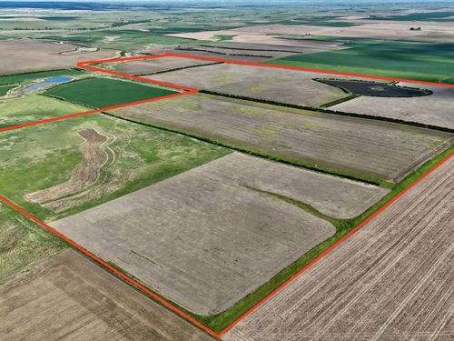 Elsassers Ringneck Reserve : Witten : Tripp County : South Dakota