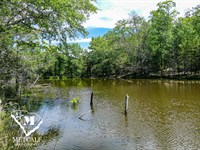 49 Acre Recreational Tract in Union : Union : South Carolina