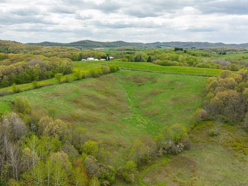 43 Acres Buffalo County : Mondovi : Buffalo County : Wisconsin
