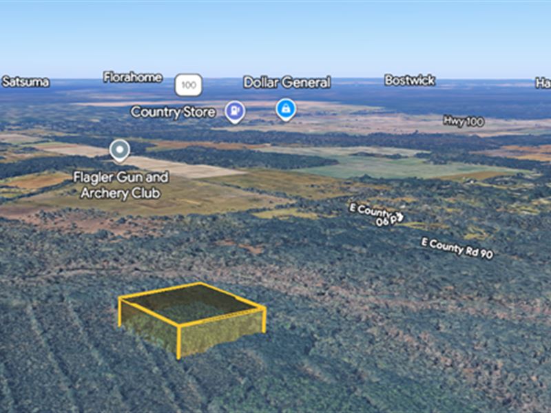 10 Ac in Florida for Only 20K : Bunnell : Flagler County : Florida