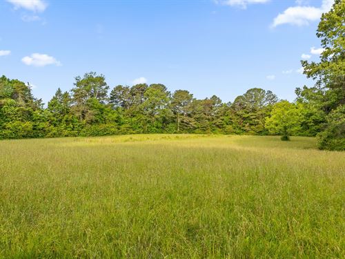 Rare Land for Sale Near Interstate : Ooltewah : Hamilton County : Tennessee