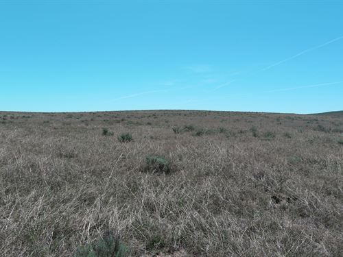 Crook / I-76 Pasture Land Auction : Sterling : Logan County : Colorado