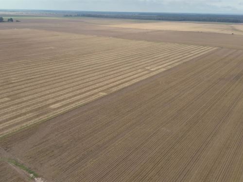 La, Morehouse Parish 320 Acres : Oak Ridge : Morehouse Parish : Louisiana