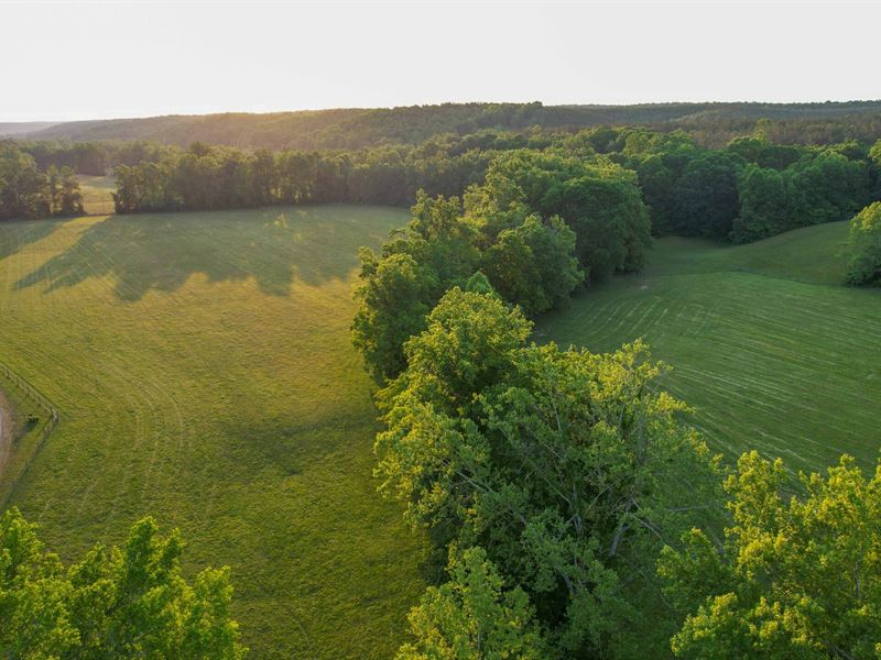 Wades Branch Farm : Centerville : Hickman County : Tennessee