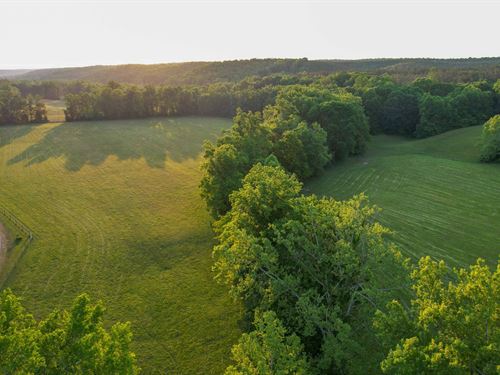 Wades Branch Farm : Centerville : Hickman County : Tennessee