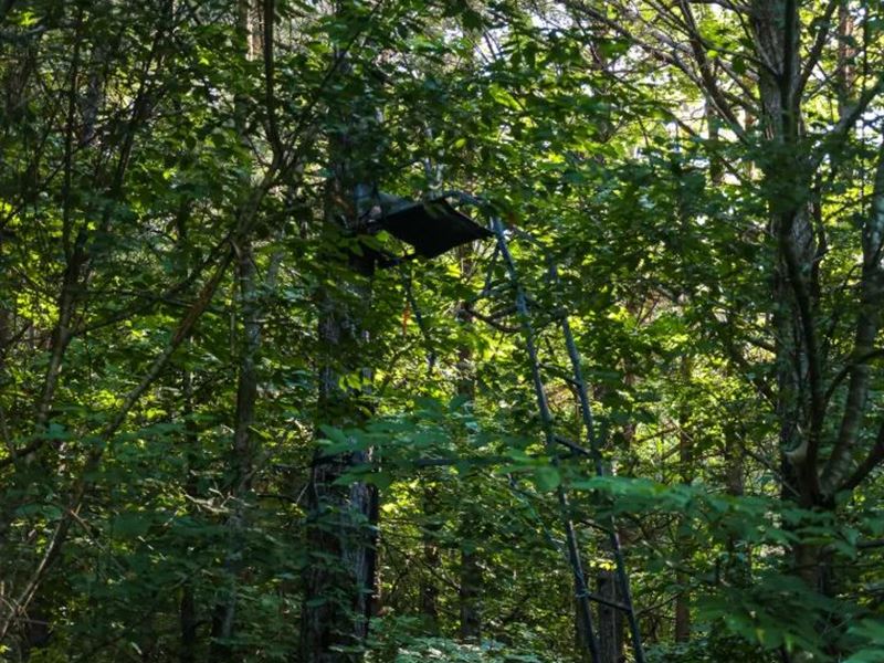 1,379 Acres in Decatur County, TN : Parsons : Decatur County : Tennessee