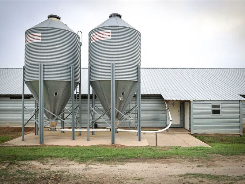 39.1 Acre Poultry & Cattle Farm Bie : Saline : Bienville Parish : Louisiana