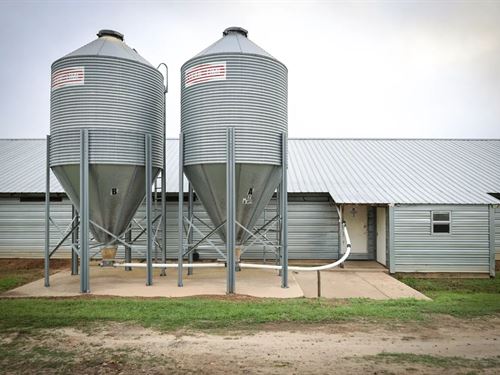 39.1 Acre Poultry & Cattle Farm Bie : Saline : Bienville Parish : Louisiana