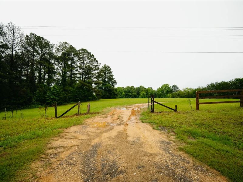 30.68 Acres in Clarke County, MS : Quitman : Clarke County : Mississippi