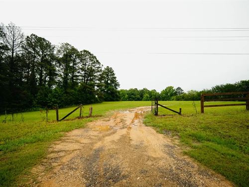 30.68 Acres in Clarke County, MS : Quitman : Clarke County : Mississippi