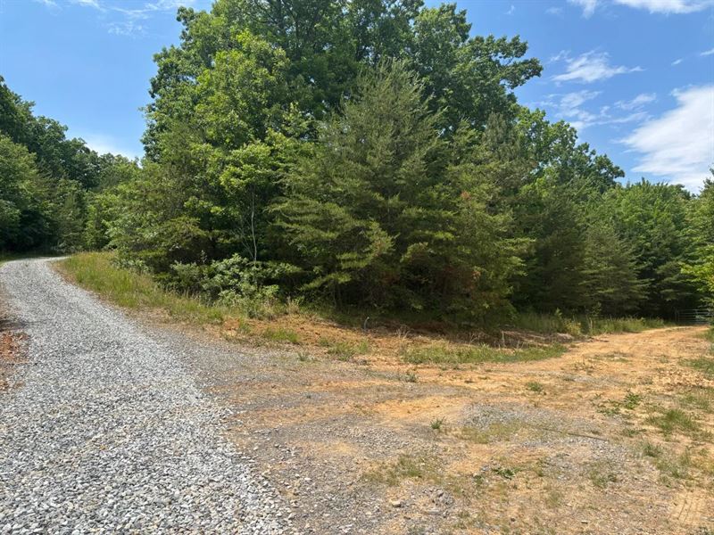 12 Acres in Sequatchie County, TN : Dunlap : Sequatchie County : Tennessee