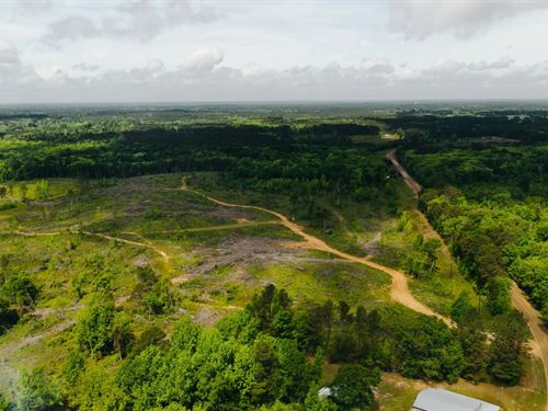 13 Acres in Winston County, MS : Preston : Winston County : Mississippi