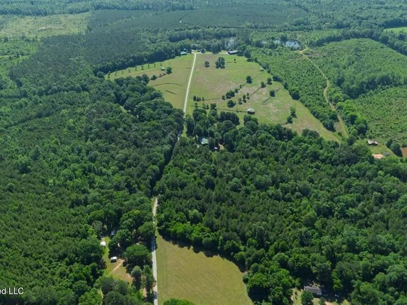 Luxury Estate on 98 Acres in Camden : Camden : Wilcox County : Alabama