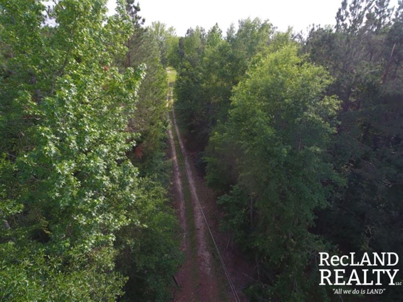 32 ac, Timberland for Home Site : Chatham : Jackson Parish : Louisiana