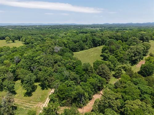 10 Acres in Polk County, AR : Hatfield : Polk County : Arkansas