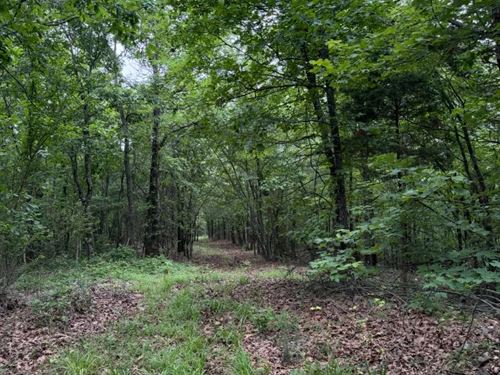 61 Acres in Polk County, AR : Cove : Polk County : Arkansas