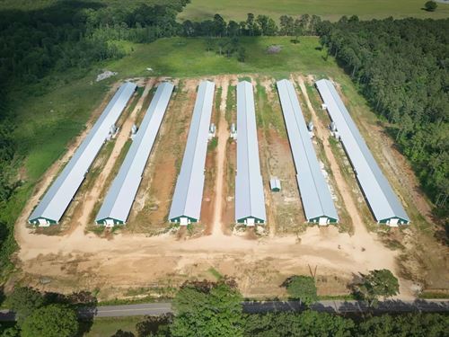 60 Acre Poultry Farm in Union Count : Strong : Union County : Arkansas