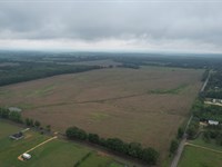 Lauderdale County Row Crop, 119.86 : Florence : Lauderdale County : Alabama