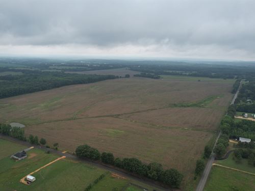 Lauderdale County Row Crop, 119.86 : Florence : Lauderdale County : Alabama