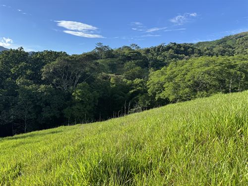 11 Acres Creek Farm CR : Puriscal : Costa Rica