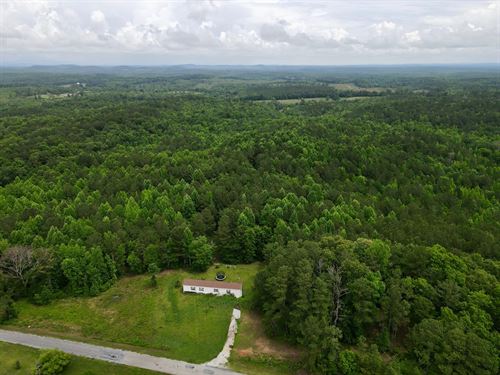42 Wooded Acres With Dwelling : Cragford : Clay County : Alabama