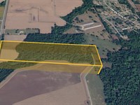 32.2 Ac of Off-Grid Paradise in NC : Dudley : Wayne County : North Carolina