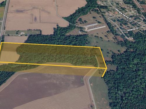 32.2 Ac of Off-Grid Paradise in NC : Dudley : Wayne County : North Carolina