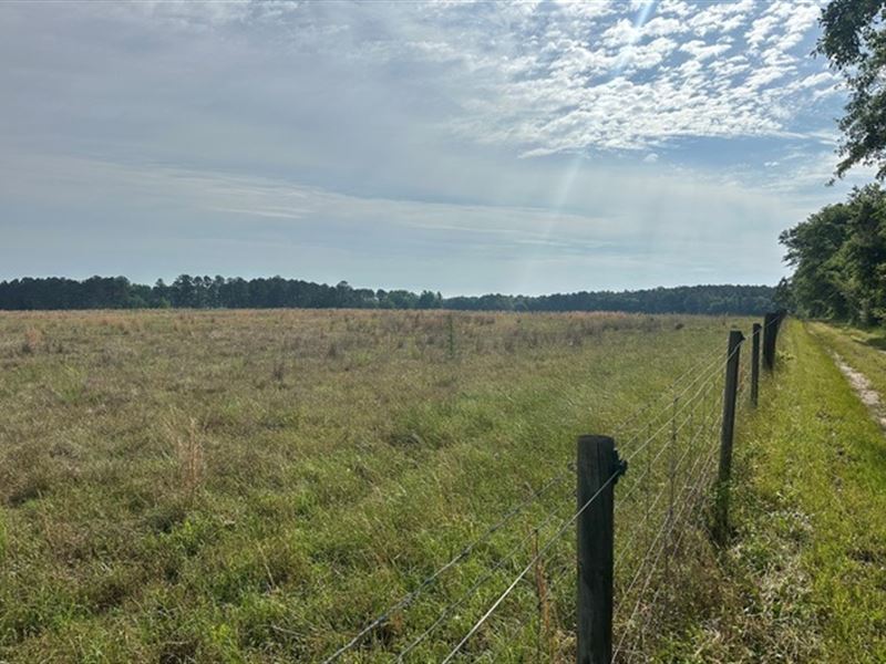 Jarrell Pond : Sylvania : Screven County : Georgia