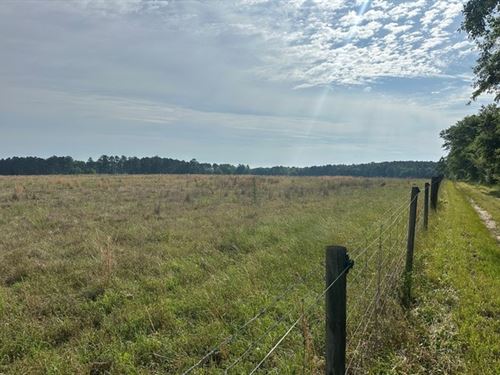 Jarrell Pond : Sylvania : Screven County : Georgia