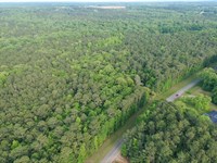 69.8 Acre Yatesville Road Tract : Barnesville : Lamar County : Georgia
