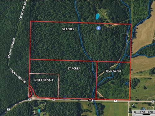 60 Acres Prime Hunting Land : Willow Springs : Howell County : Missouri