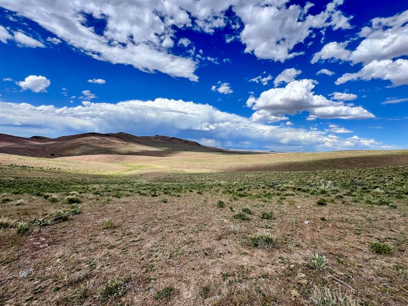 Versatile Raw Land : Elko : Elko County : Nevada