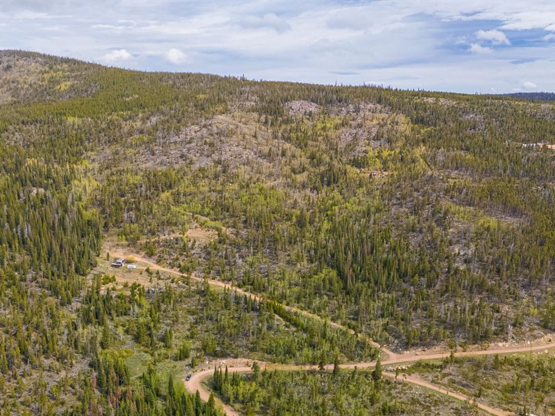 540 Elk Ridge Rd : Red Feather Lakes : Larimer County : Colorado