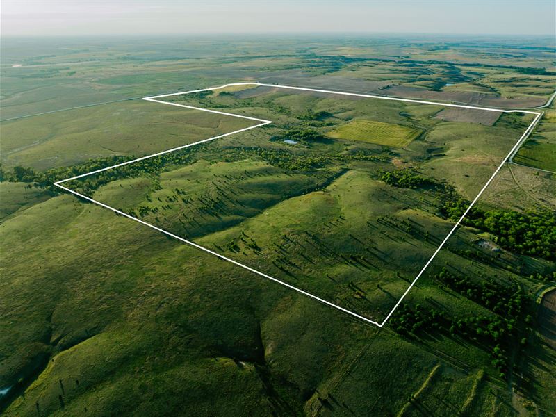 Darwin's Pure Joy Pasture Cropland : Portis : Osborne County : Kansas