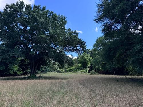 215 Acres Dripping Rock Tract : Molena : Upson County : Georgia
